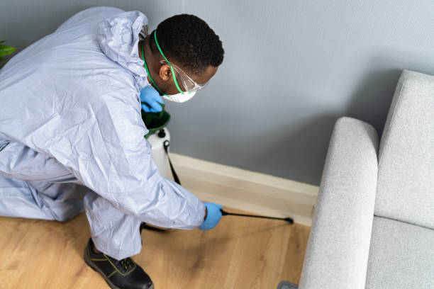 Indoor Pest Control in Chester Heights, PA